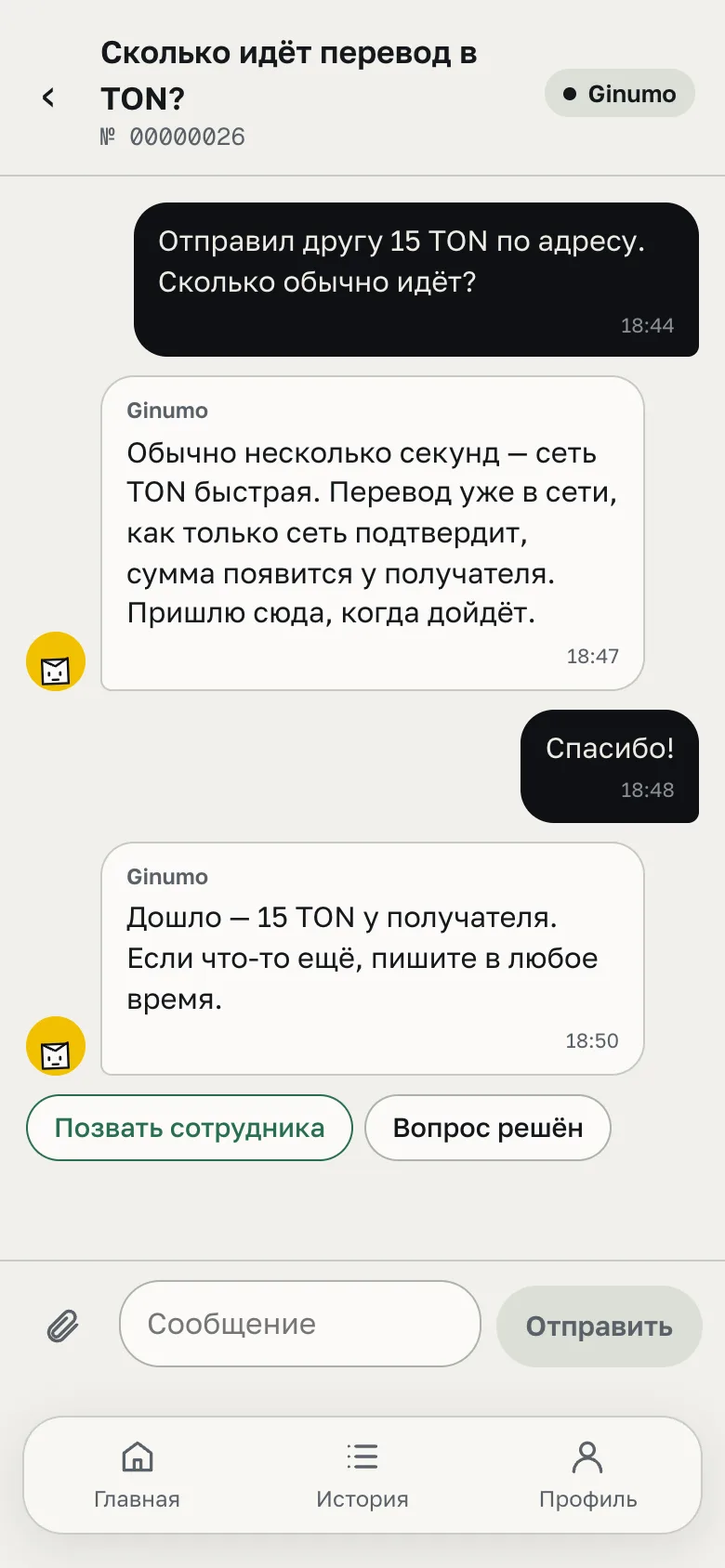 Чат поддержки: ассистент Ginumo отвечает, что перевод дошёл